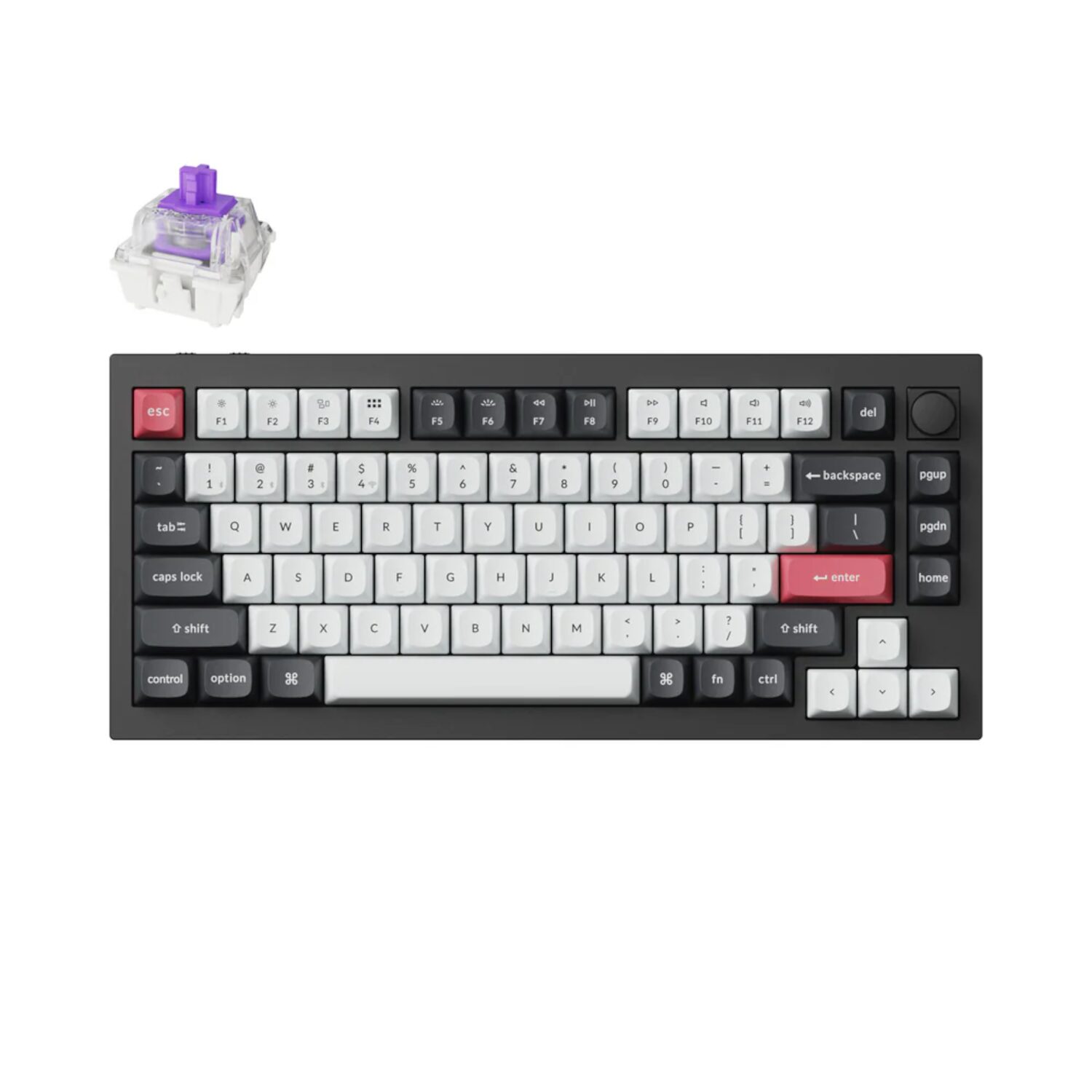 Q1H-M1-wr-01 blank